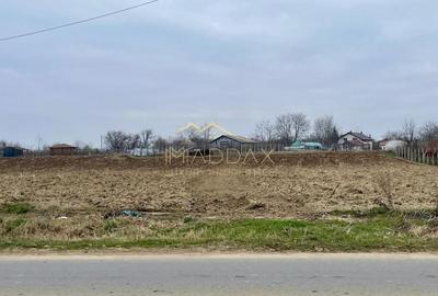 Teren INTRAVILAN***2828 mp// Silistea SNAGOVULUI - 3