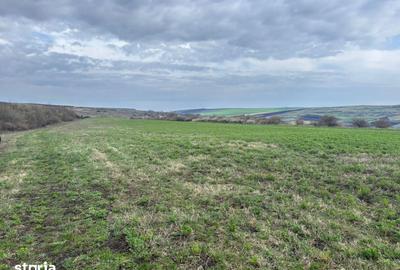 Teren de 1100 mp, în Iris