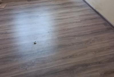 Apartament cu 3 camere nedecomandat în Mogoșoaia - 3