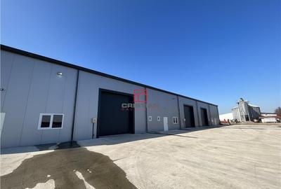 Depozit/hala/spatiu industrial Pantelimon - Centura - 6