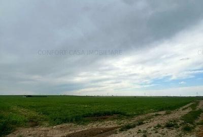 Balaceanca- teren  intravilan, toate utilitatile, 9740 mp, - 4