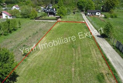 Teren de vanzare in Curtea de Arges, zona Valea Uleiului. - 11