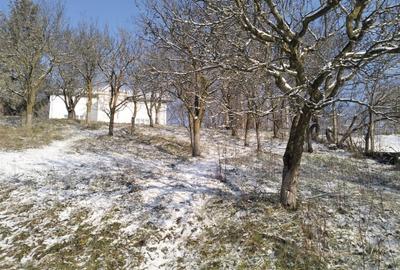 Casă individuală cu 5 camere cu Teren 5950 Mp în Central - 2