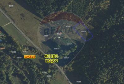 Teren Construcții intravilan de 4003 mp, în Babarunca - 3