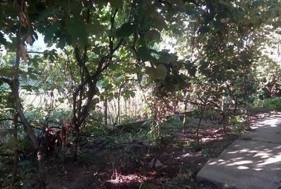 Proprietar --- Casa de vanzare zona centrala Fagara? | Teren 500 mp - 2