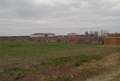 Teren de 5480 mp, în Țegheș