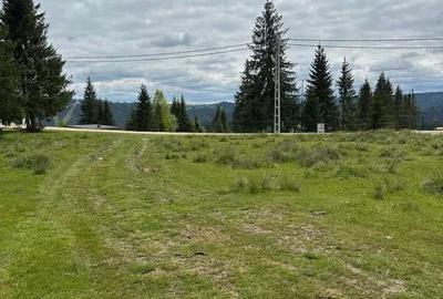 Teren Construcții extravilan de 1342 mp, în Beliș - 5