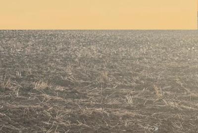 Vand teren intravilan Branesti 2500 mp, pret 70 euro/mp - 6