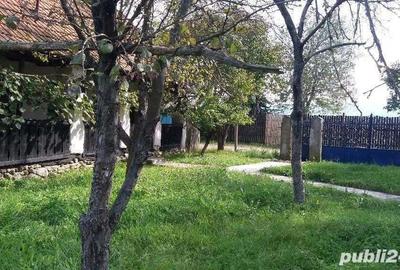 Casă cu 4 camere în Bretea Streiului - 1