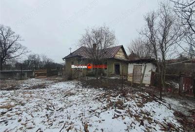 Casă cu Teren 9504 Mp în Poclușa de Barcău - 5