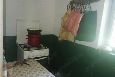 Casa boga?i glambocel - 7