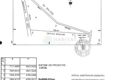 Teren | Poiana Ciolpani | Iris Orangerie - 2