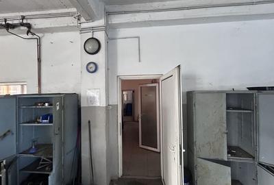Clădire multifuncțională de închiriat – zonă cu acces TIR - 3
