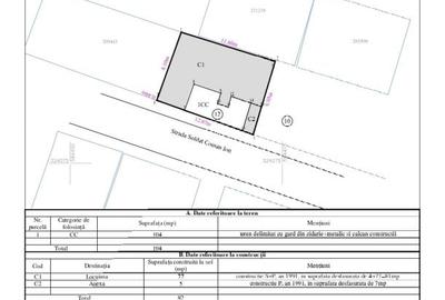 Casa cu 3 camere - Margeanului - 19