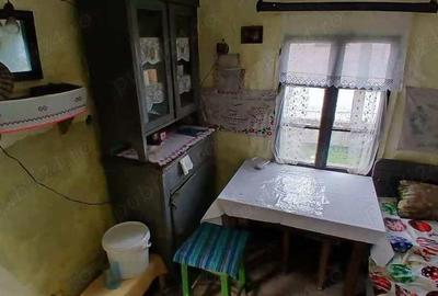 Casă cu 2 camere cu Teren 3342 Mp în Rusca - 9