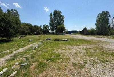Vanzare complex industrial *hala 682 mp + teren 2,5 ha* - Tetila - 6