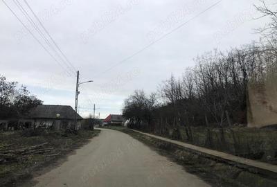 Teren de 3478 mp, în Viișoara