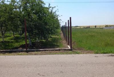 Teren de 4447 mp, în Pielești - 3