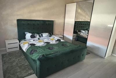 Casă cu Teren 300 Mp în Dumbrăvița - 1