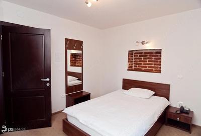Spațiu comercial, de 720 mp, în Bucovăț (Remetea Mare) - 1