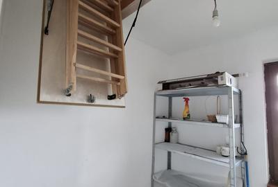 Sanandrei – Duplex  2  Camere – Pod  Mansardabil - 12