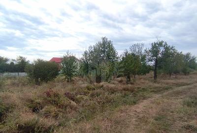 Teren Construcții intravilan de 17211 mp, în Păulești - 6