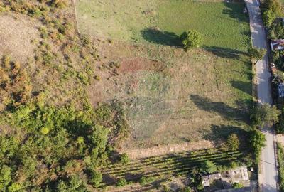 Teren de 4267 mp, în Satu Nou (Panciu) - 3