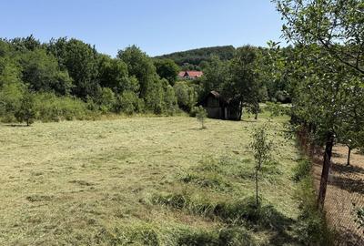 Spațiu comercial, în Pișchia - 7