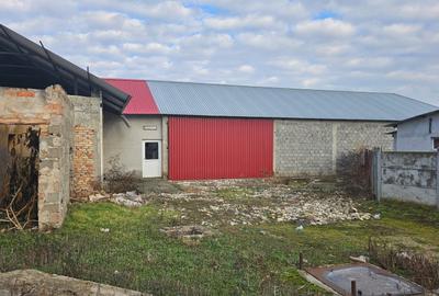 Gelu [Varias] – Imobil  Afacere Brutarie – Hala – Teren - 11