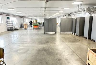 Zona Margeanului HALA industriala +birouri +depozit  ! - 2