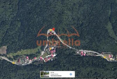 Teren de vanzare Vladet - Trei Brazi, in Predeal 1000m2 intravilan - 4