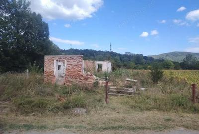 Teren de 2000 mp, în Bunești - 3