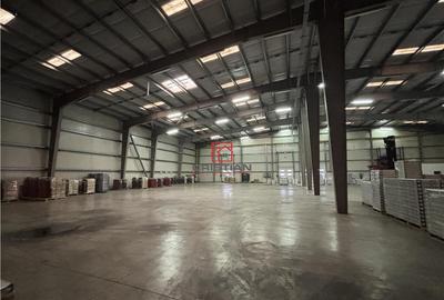 Depozit/hala/spatiu industrial Chiajna - Ciorogarla A1 - KM - 7