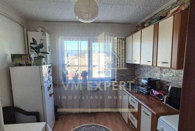 APARTAMENT 2 CAMERE ETAJ 4 CAMPULUNG, VISOI - 10