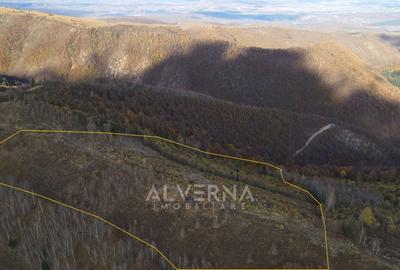OPORTUNITATE | Teren intravilan | 34.625 mp | Plopi - Valea Ierii - 6