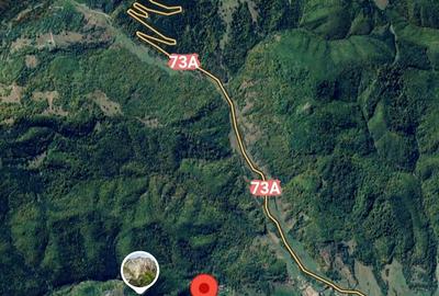 Vanzare 1266 mp teren superb Cheile Rasnoavei la munte langa padure si pensiuni - 5