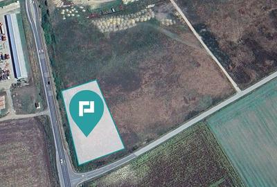 Teren intravilan, 5000 mp in Ciumeghiu, Bihor - 3