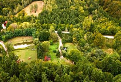 Casă cu 4 camere cu Teren 2100 Mp în Central - 9