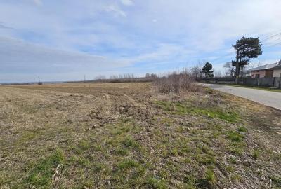 Teren de 2268 mp, în Potlogeni-Vale - 3