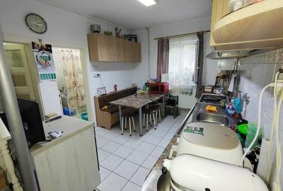 Casa individuala S+P+M cu teren 1723 mp, zona linistita, in Grigorescu - 12