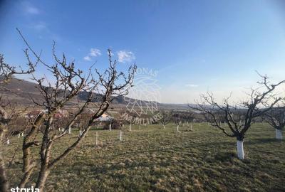 Teren de 3100 mp, în Nimigea - 2