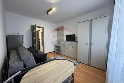Apartament cu 1 camere în Noua - 1