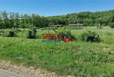 Teren de 772 mp, în Ciugud - 3