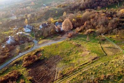 Teren intravilan – 30 ari – poziție excelentă, utilități complete, ideal pentru - 5