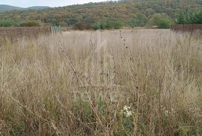 Teren de vanzare in Talmaciu zona lini?tita, cu priveli?te spre mun?i - 2