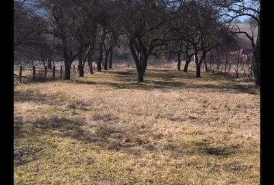 Spațiu comercial, în Arghișu - 11