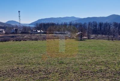 Teren intravilan de 4.000 mp în Bistrița – Alexandru cel Bun - 25
