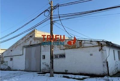 Hală industrială de închiriat în Sebeș  depozitare sau - 7