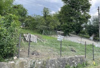 Teren de 4160 mp, în Provița de Sus - 8