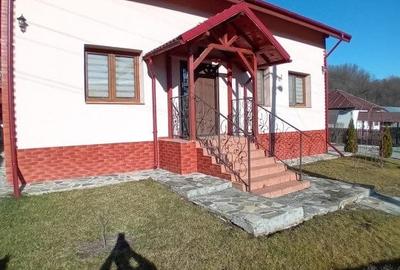 CASA DE VACANTA-2016- MOBILATA SI UTILATA - 9